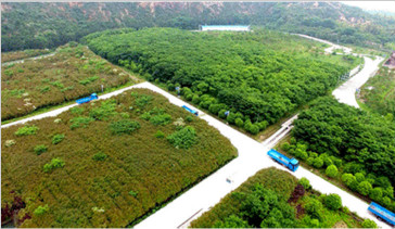 杭州常林-绿色矿山建设，为何钟情山推挖掘机—湖州美卓矿业